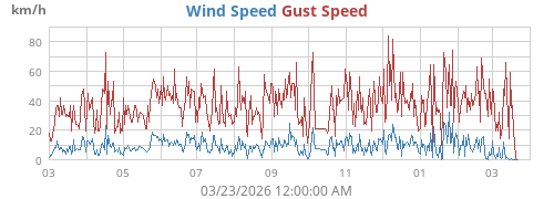 yearwind